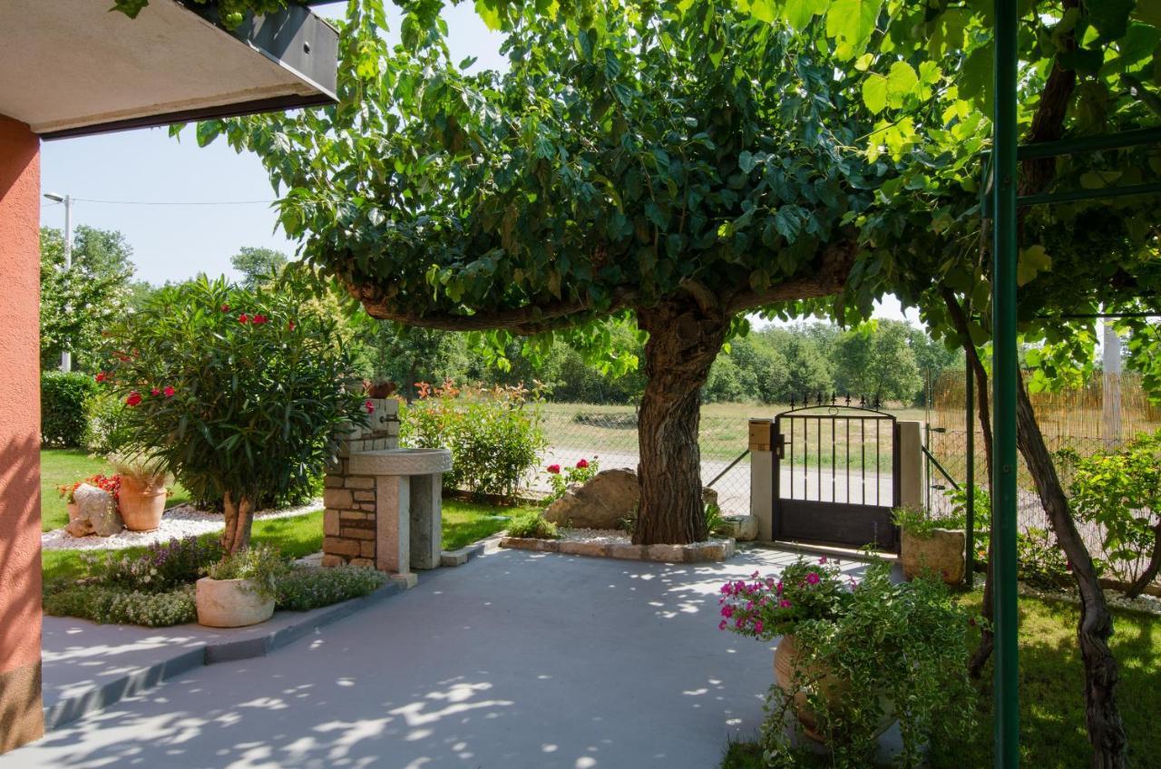 Villa Roza Umag Eksteriør bilde