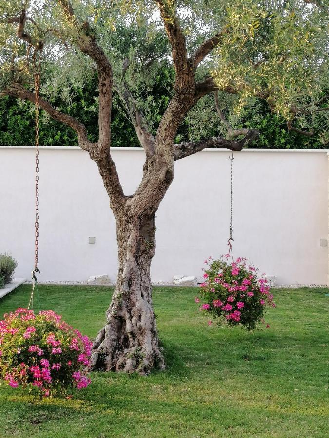 Villa Roza Umag Eksteriør bilde