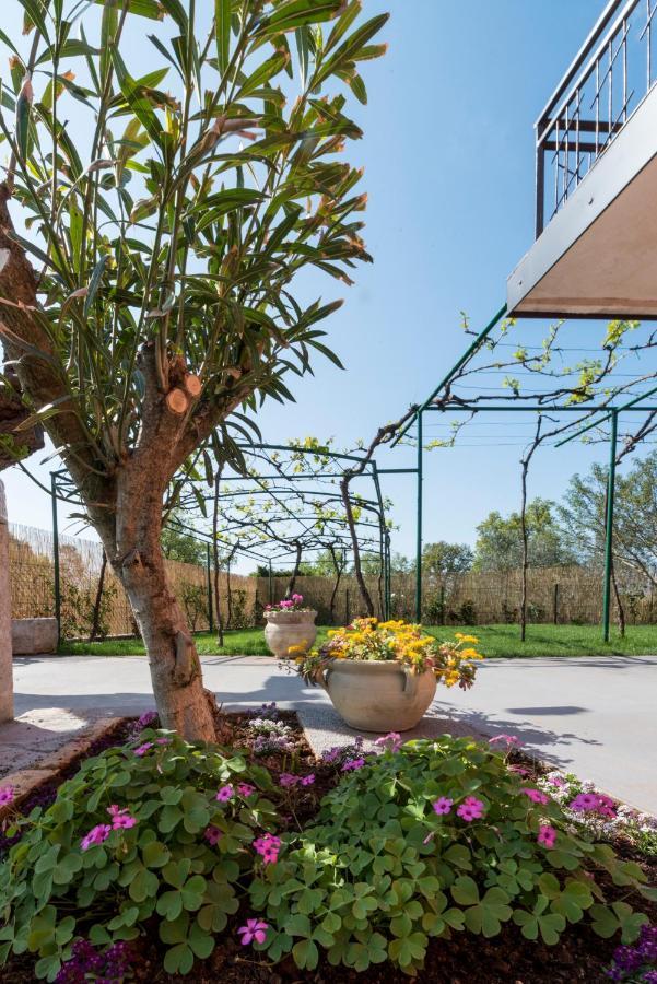 Villa Roza Umag Eksteriør bilde