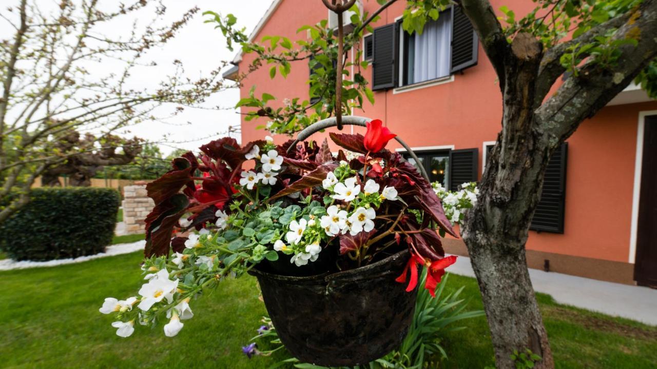 Villa Roza Umag Eksteriør bilde