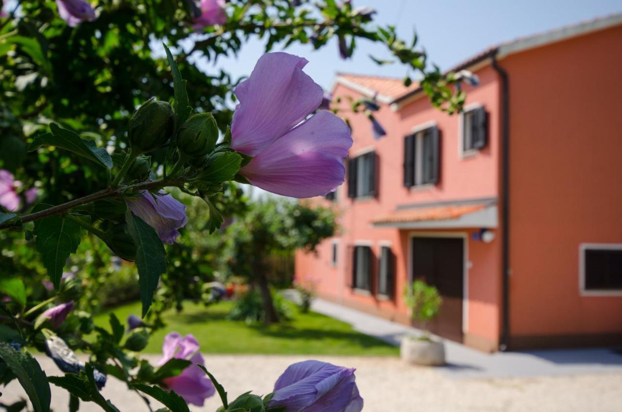 Villa Roza Umag Eksteriør bilde